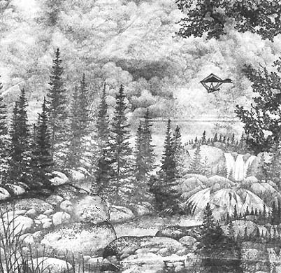 Flight Over the Forest's Falls