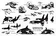 Nature Sheet 48