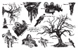 Nature Sheet 51