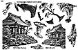 Nature Sheet 61