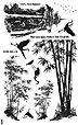 Nature Sheet 63